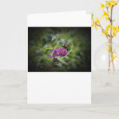 Hummingbird Moth, Karte (Gelbe Blume)