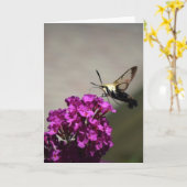 Hummingbird Moth, Karte (Gelbe Blume)