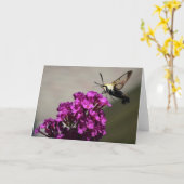 Hummingbird Moth, Karte (Gelbe Blume)