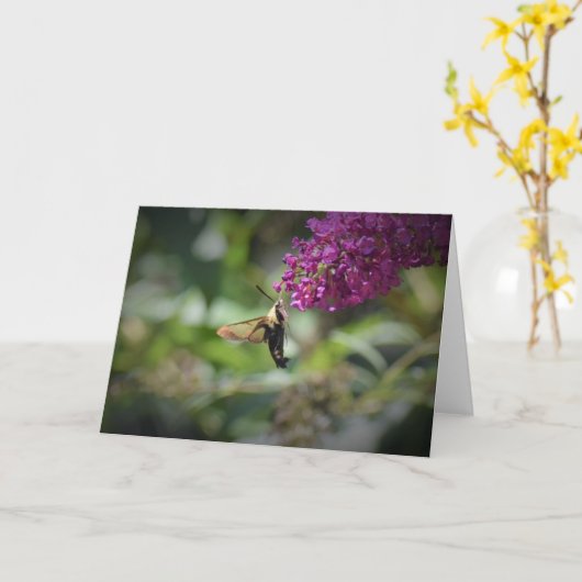 Hummingbird Moth, Karte (Gelbe Blume)