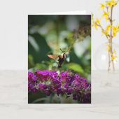 Hummingbird Moth, Karte (Gelbe Blume)