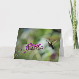 Hummingbird Moth, Karte