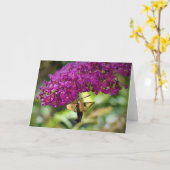 Hummingbird Moth, Karte (Gelbe Blume)