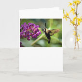 Hummingbird Moth, Karte (Gelbe Blume)