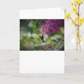 Hummingbird Moth, Karte (Gelbe Blume)