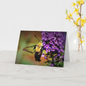 Hummingbird Moth, Karte (Gelbe Blume)