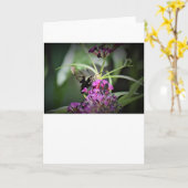 Hummingbird Moth, Karte (Gelbe Blume)