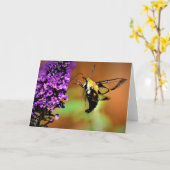 Hummingbird Moth, Karte (Gelbe Blume)