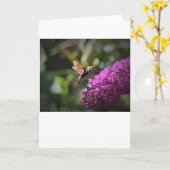 Hummingbird Moth, Karte (Gelbe Blume)