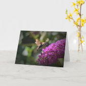 Hummingbird Moth, Karte (Gelbe Blume)