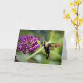 Hummingbird Moth, Karte (Gelbe Blume)