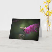 Hummingbird Moth, Karte (Gelbe Blume)