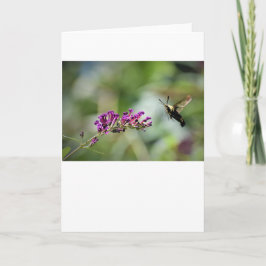 Hummingbird Moth, Karte