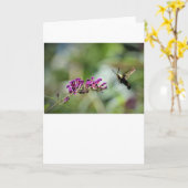 Hummingbird Moth, Karte (Gelbe Blume)