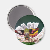 Hummingbird Moth Magnet (Vorderseite/Rückseite)