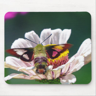Hummingbird Moth Mousepad