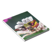 Hummingbird Moth Notizblock (angewinkelt)