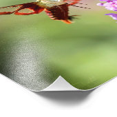 Hummingbird Moth on Butterfly Bush Fotodruck (Ecke)