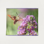 Hummingbird Moth on Butterfly Bush Wandteppich (Vorderseite (Horizontal))
