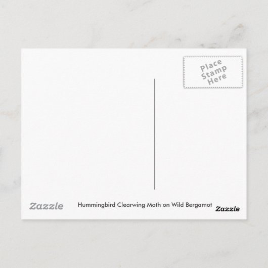 Hummingbird Moth Postcard Postkarte (Rückseite)