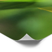 Hummingbird Moth Poster (Ecke)