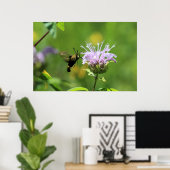 Hummingbird Moth Poster (Heimbüro)