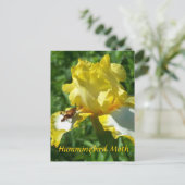 HUMMINGBIRD MOTH POSTKARTE (Stehend Vorderseite)