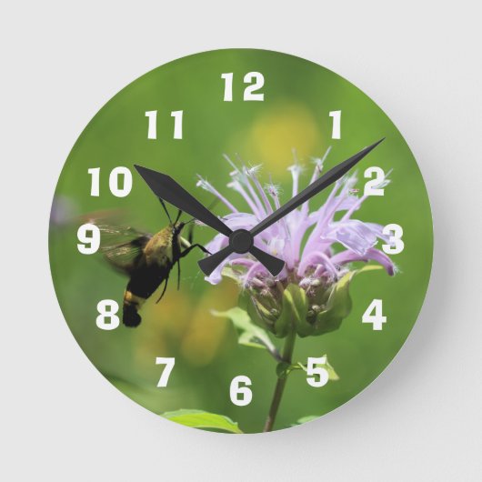 Hummingbird Moth Runde Wanduhr (Vorderseite)