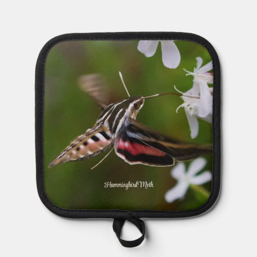 Hummingbird Moth Topflappen (Vorderseite)