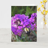 Hummingbird Moth & Verbena, Karte (Gelbe Blume)