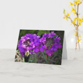 Hummingbird Moth & Verbena, Karte (Gelbe Blume)