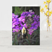 Hummingbird Moth & Verbena, Karte (Gelbe Blume)