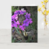 Hummingbird Moth & Verbena, Karte (Gelbe Blume)