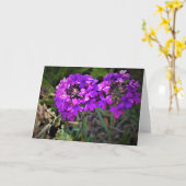 Hummingbird Moth & Verbena, Karte (Gelbe Blume)