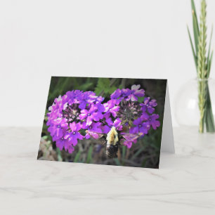 Hummingbird Moth & Verbena, Karte