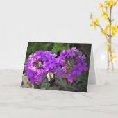 Hummingbird Moth & Verbena, Karte (Gelbe Blume)