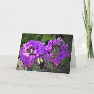 Hummingbird Moth & Verbena, Karte