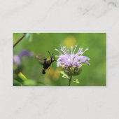 Hummingbird Moth Visitenkarte (Rückseite)