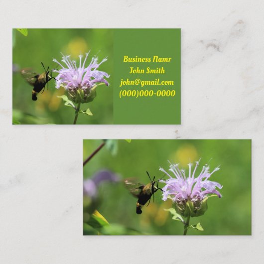 Hummingbird Moth Visitenkarte (Vorne/Hinten)