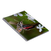 Hummingbird Moth Wire Journal Notizblock (Rechte Seite)