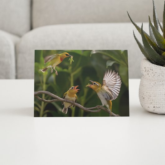 Hummingbird Mother Postkarte
