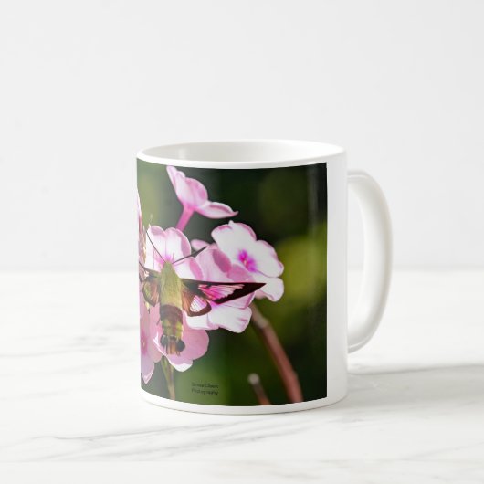 Hummingbird-Motte Kaffeetasse (VorderseiteRechts)