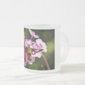 Hummingbird-Motte Mattglastasse (VorderseiteRechts)