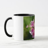 Hummingbird-Motte Tasse (Links)