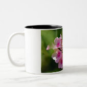 Hummingbird-Motte Zweifarbige Tasse (Links)
