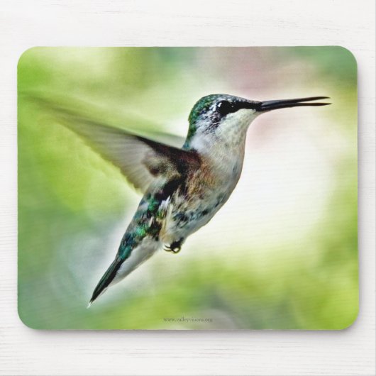Hummingbird Mouse Pad Mousepad (Vorne)