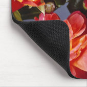 HUMMINGBIRD MOUSEPAD (Ecke)