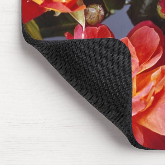 HUMMINGBIRD MOUSEPAD (Ecke)