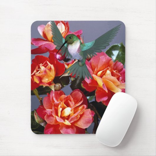 HUMMINGBIRD MOUSEPAD (Mit Mouse)