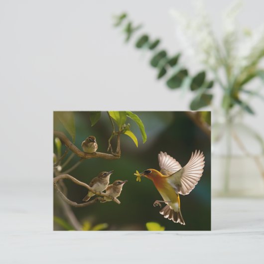 Hummingbird Mutterfood Postkarte (Stehend Vorderseite)